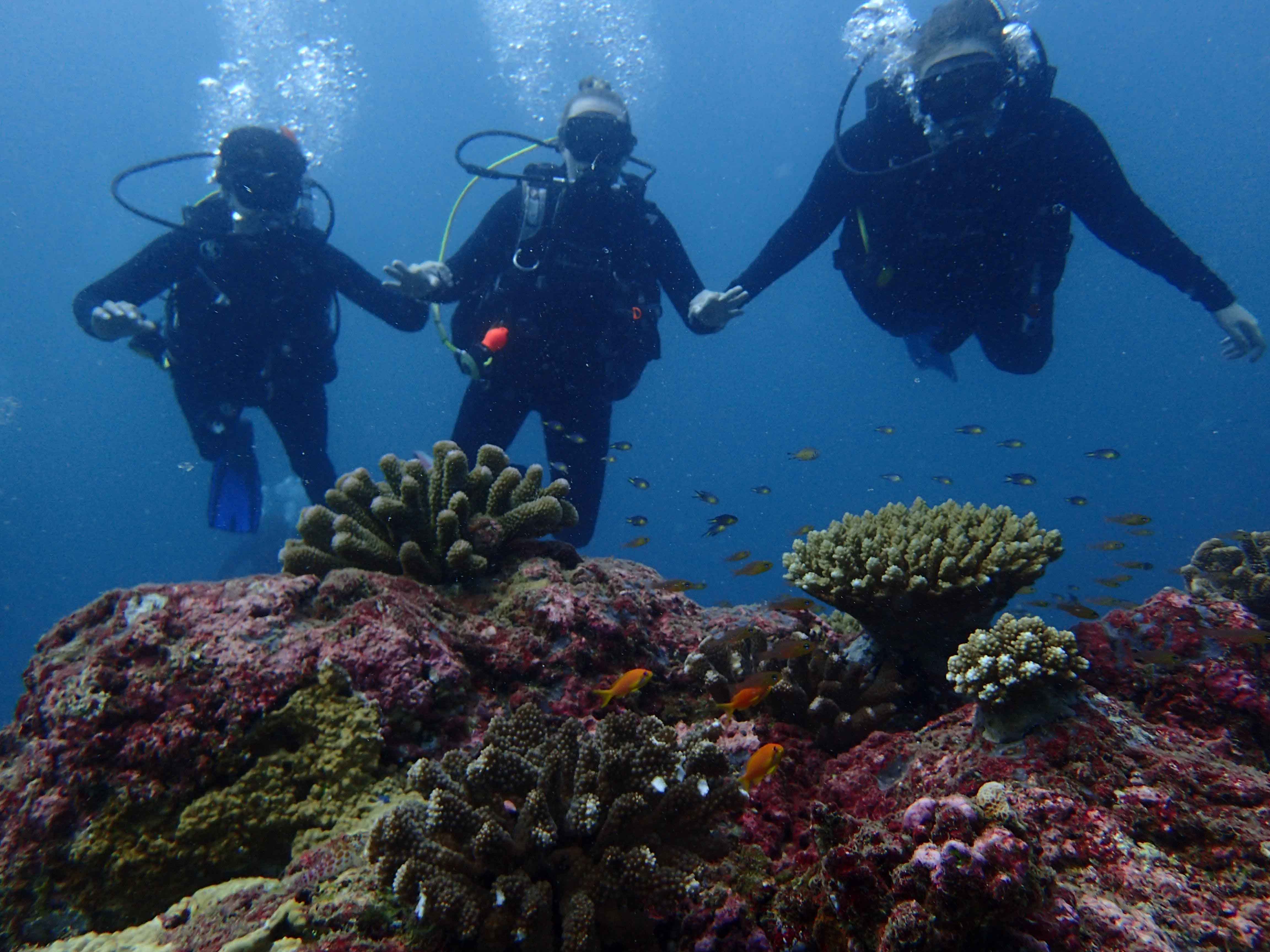 Seychelles_Scuba_Diving_Coral_reef