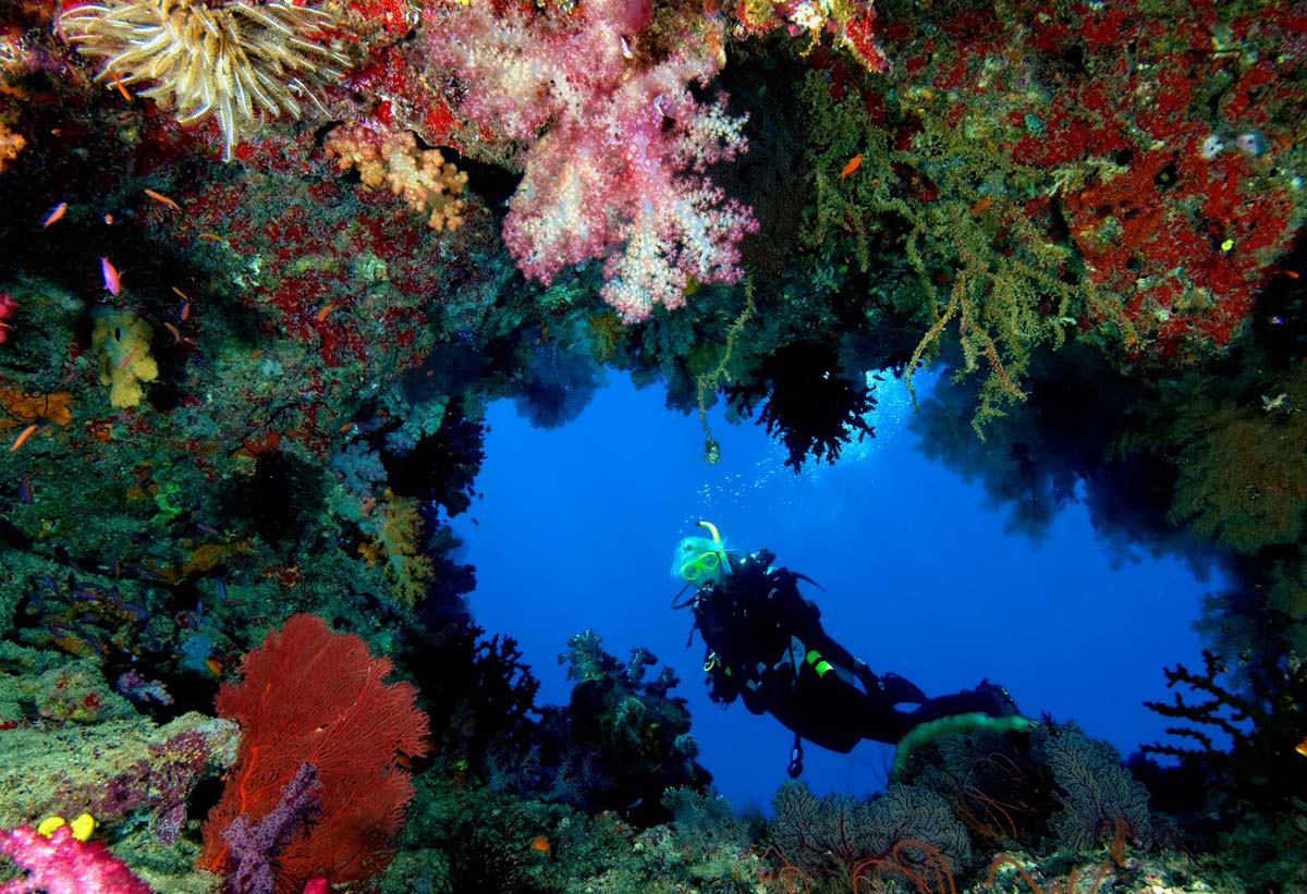 alphonse experience scuba diving 07