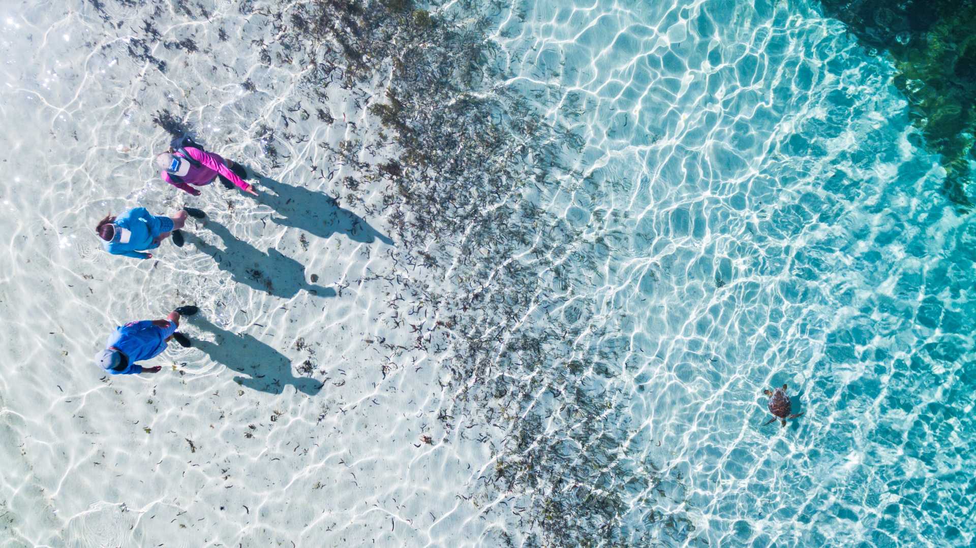 Alphonseisland seychelles family walk