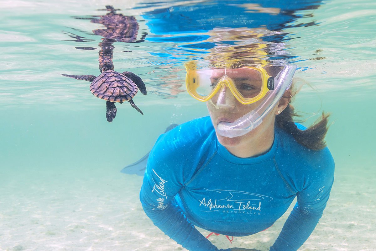 snorkeling with turtles alphonse seychelles thumbnail