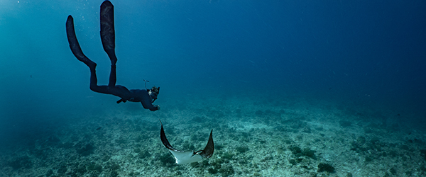 seychelles freediving alphonse island