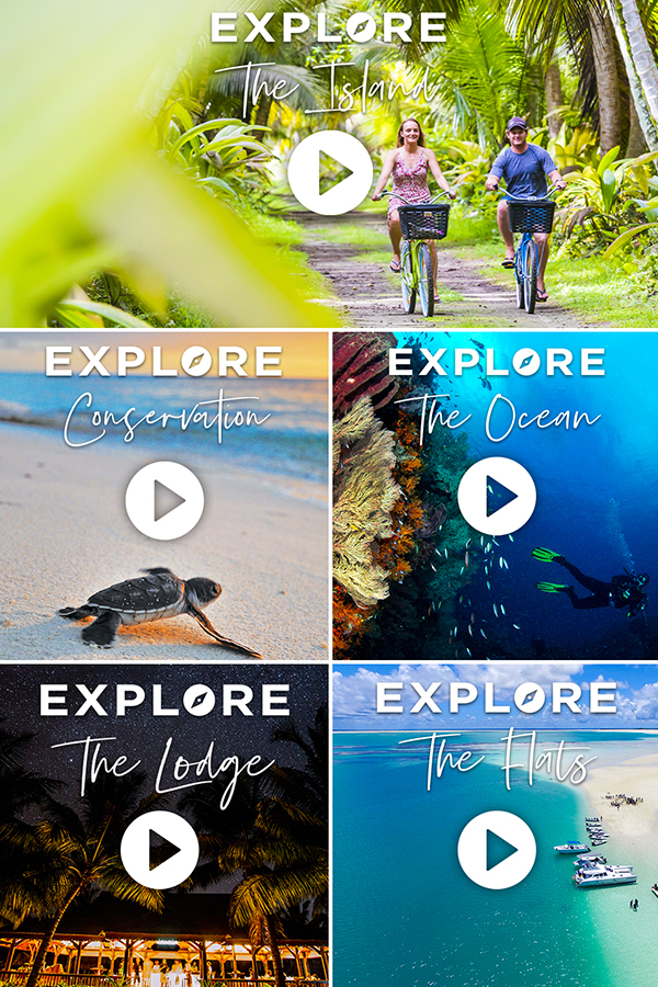 seychelles alphonse island explorer season videos