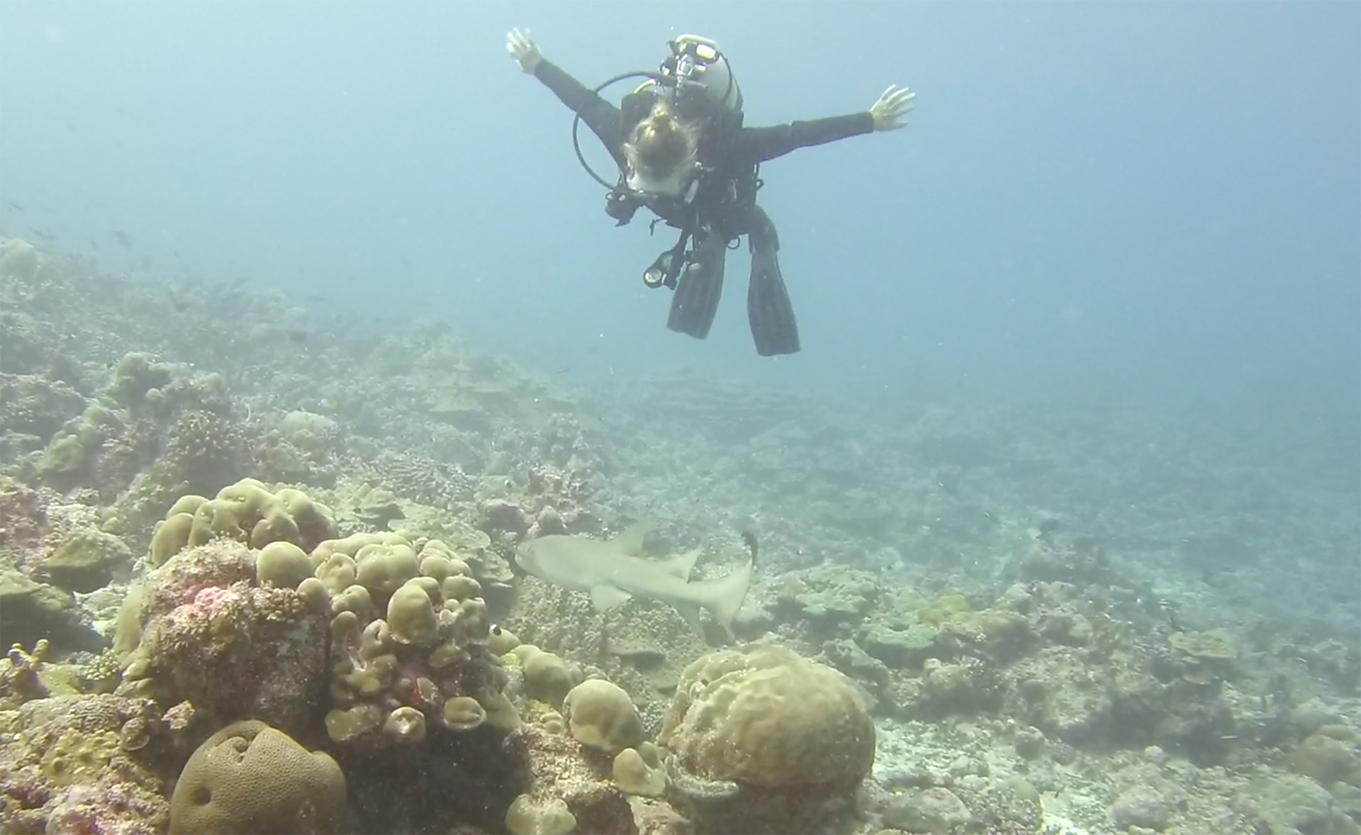 Alphonse Island Scuba Diving Seychelles