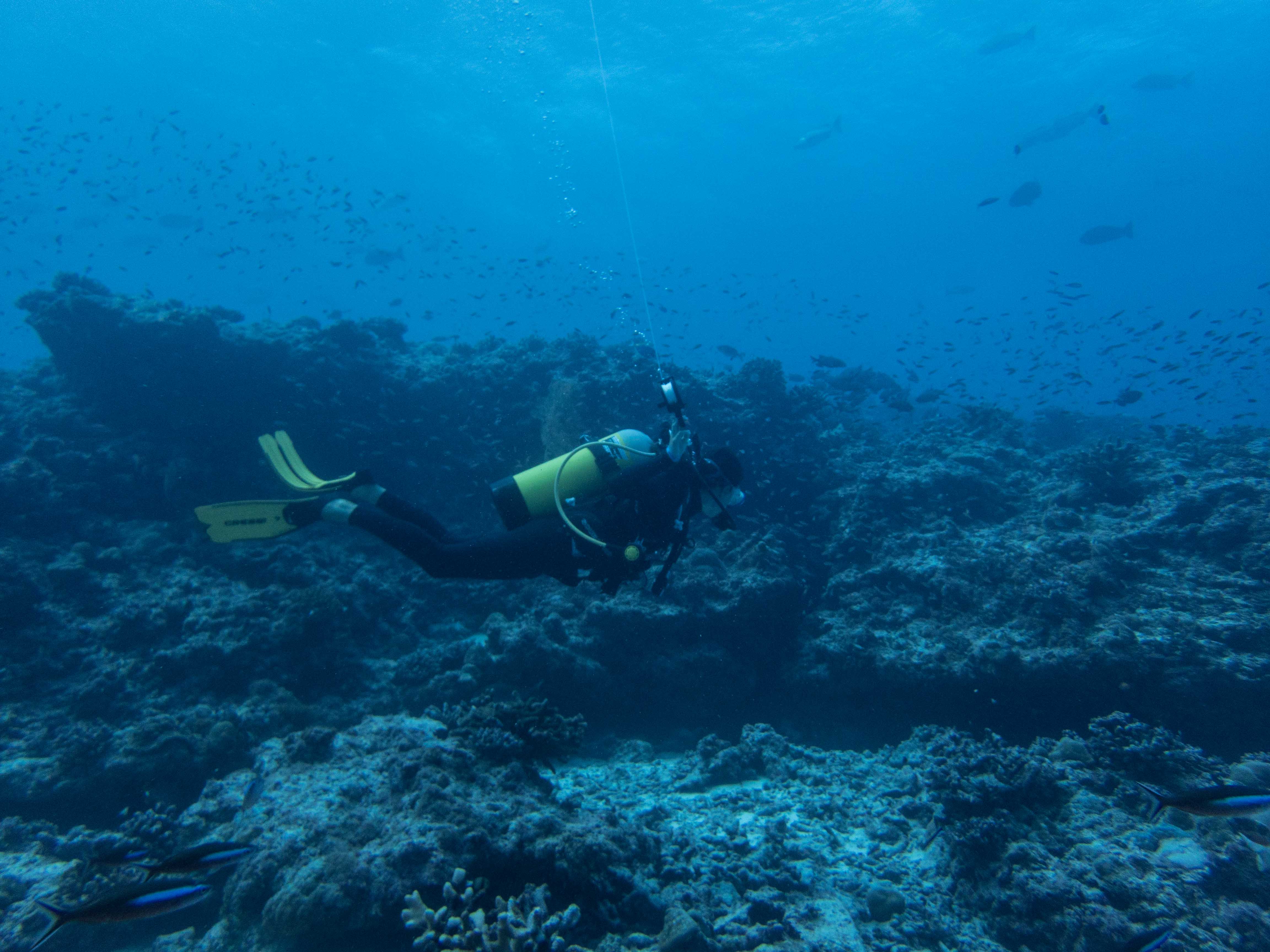 scuba diving east side alphonse island