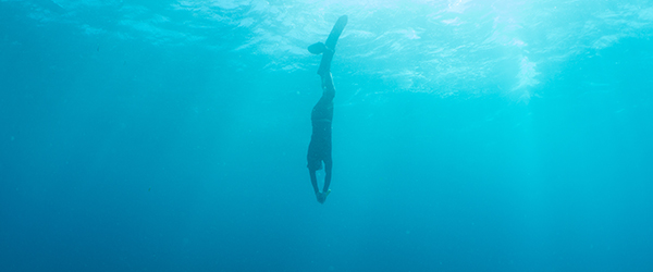 free diving seychelles alphonse island