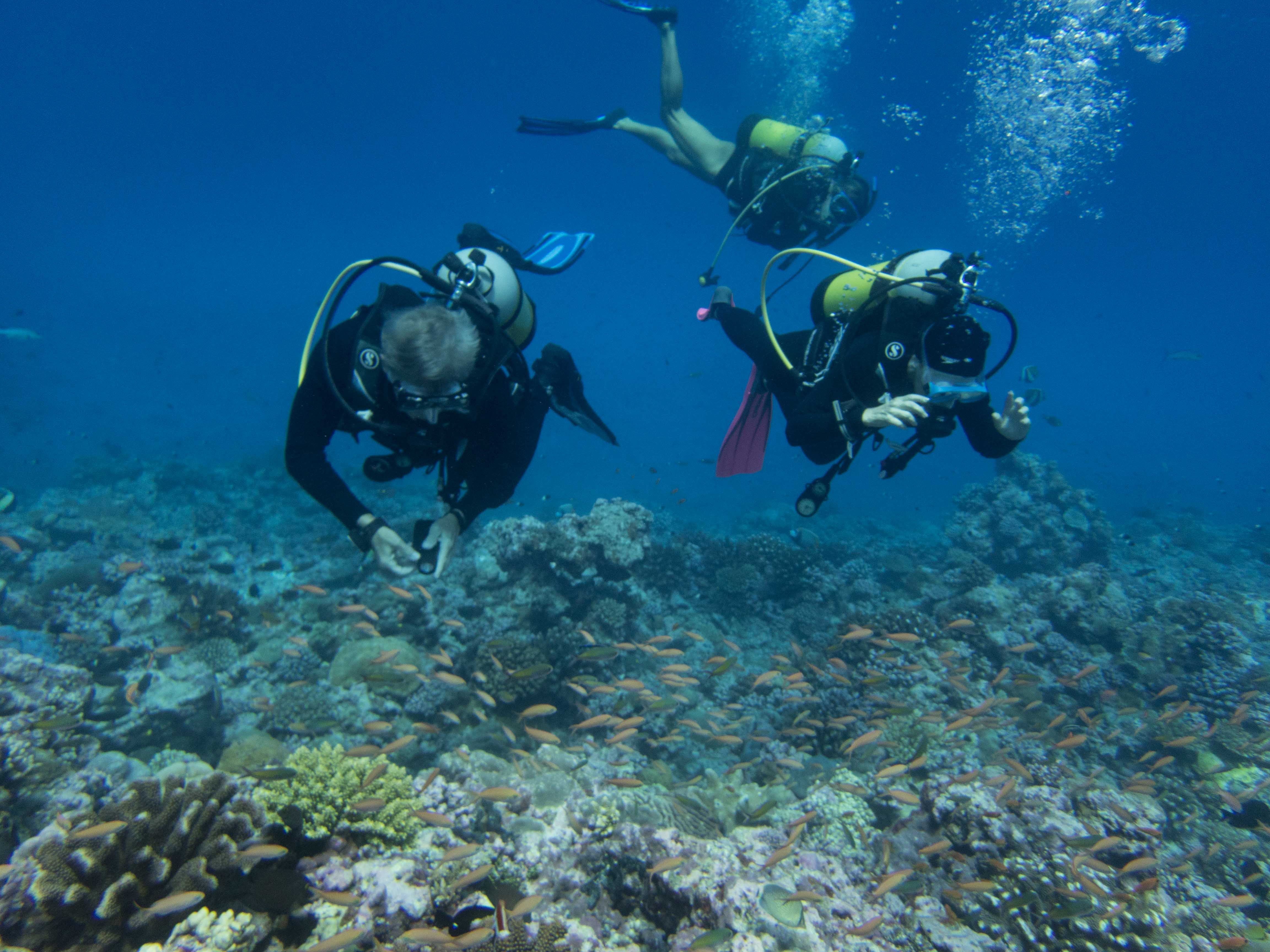 scuba diving back row charles Barbara