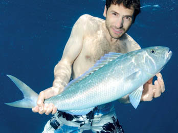 Jobfish