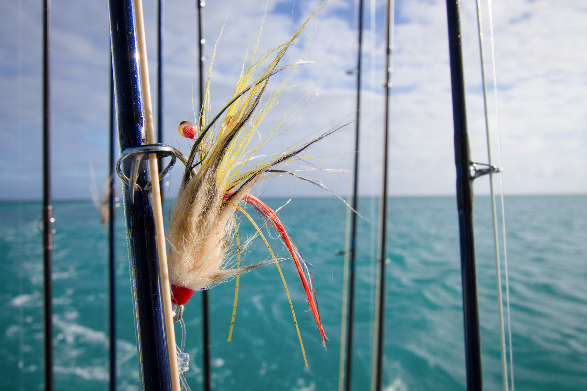 Fly Fishing - Alphonse Island - The Seychelles