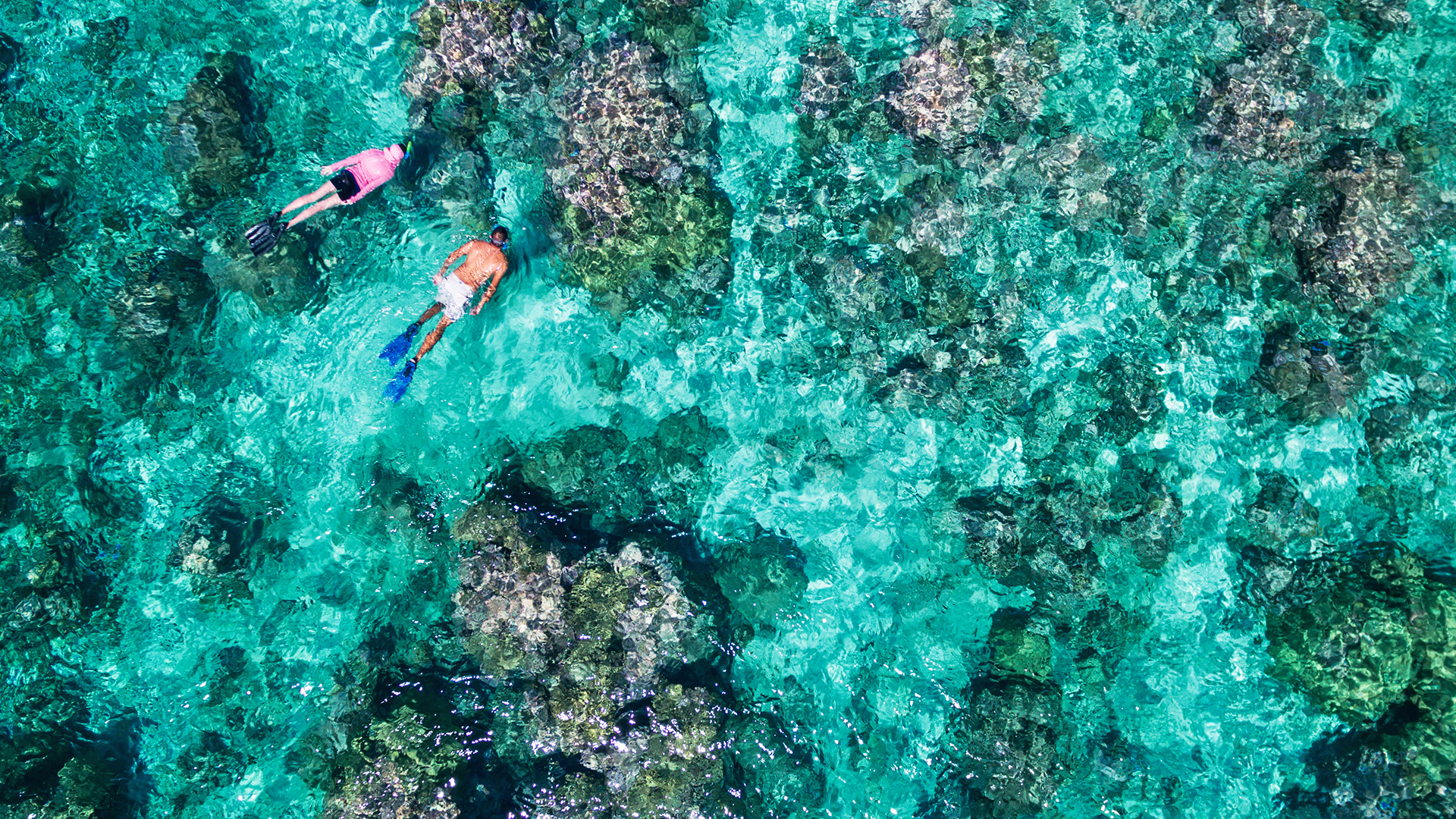 Snorkeling in The Seychelles - Alphonse Island